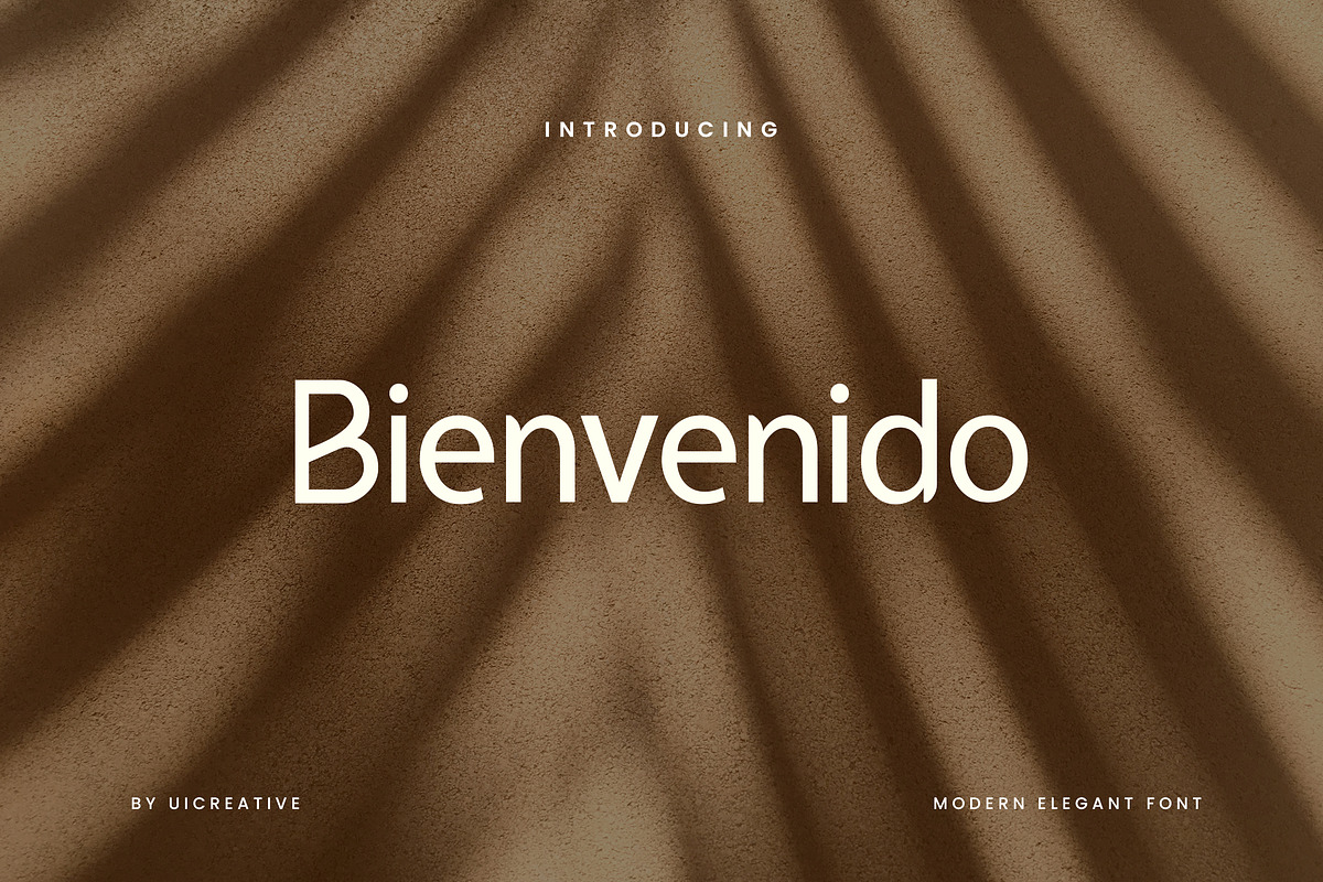 Bienvenido Sans Serif Font, a Sans Serif Font by UICreative (Photo 1 of 13)