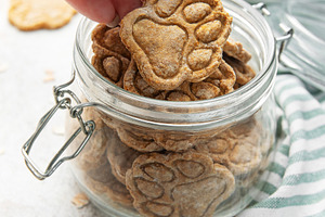 Woman hand taking homemade paw print dog treats from jar, a Food & Drink Photo by Olena Rudo