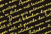 Blottocke a Handwritten Font, a Script Font by Basnistudio (Thumbnail 2 of 10)