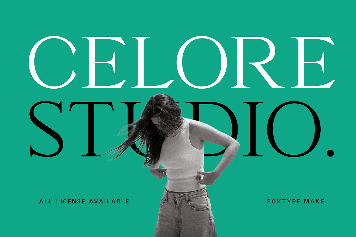 Pontiac Serif Font, a Serif Font by Foxtype (Photo 2 of 5)