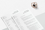 Executive Resume Template Word, a Resume Template by LucaTheme (Thumbnail 6 of 10)