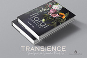 Transience - Hand-painted Gouache, an Illustration by SmallHouseBigPony (Thumbnail 10 of 16)