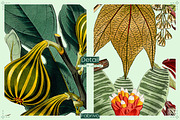 Jungle Epiphany Floral Pattern, a Pattern Graphic by Fabrivo (Thumbnail 9 of 9)