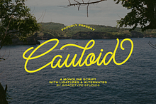 Cauloid | Monoline Script
