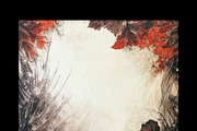 Prehistoric Botanical Frames, a Background Graphic by pictures for you (Thumbnail 8 of 13)
