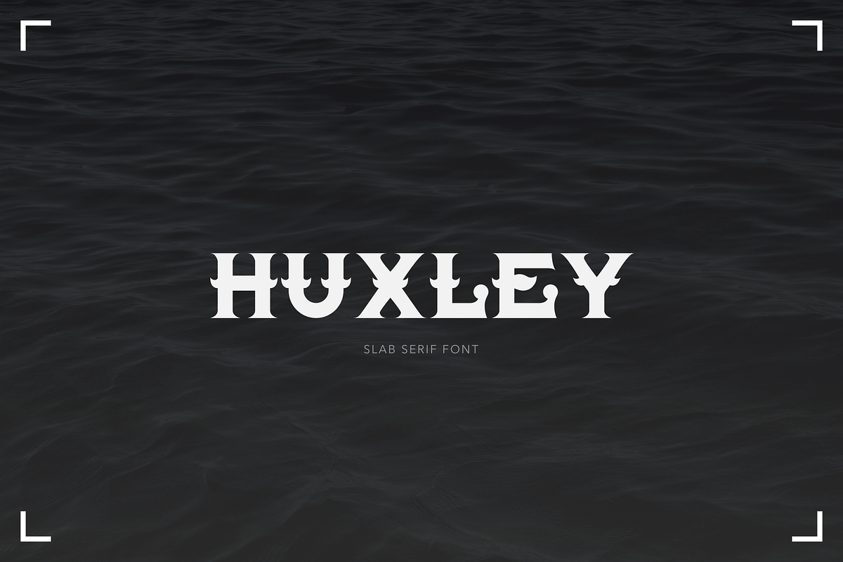 HUXLEY - Vintage Serif Font, a Serif Font by vix.vix (Photo 1 of 8)