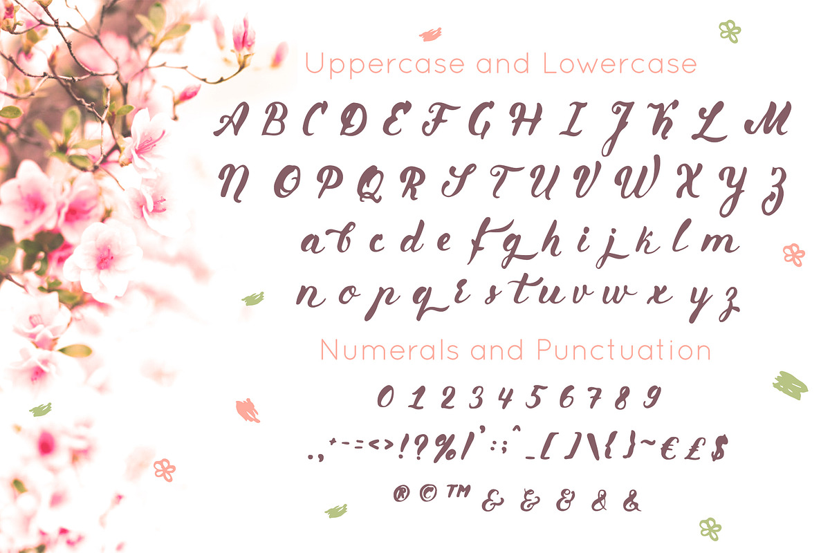 Primavera is handwritten brush font preview 6