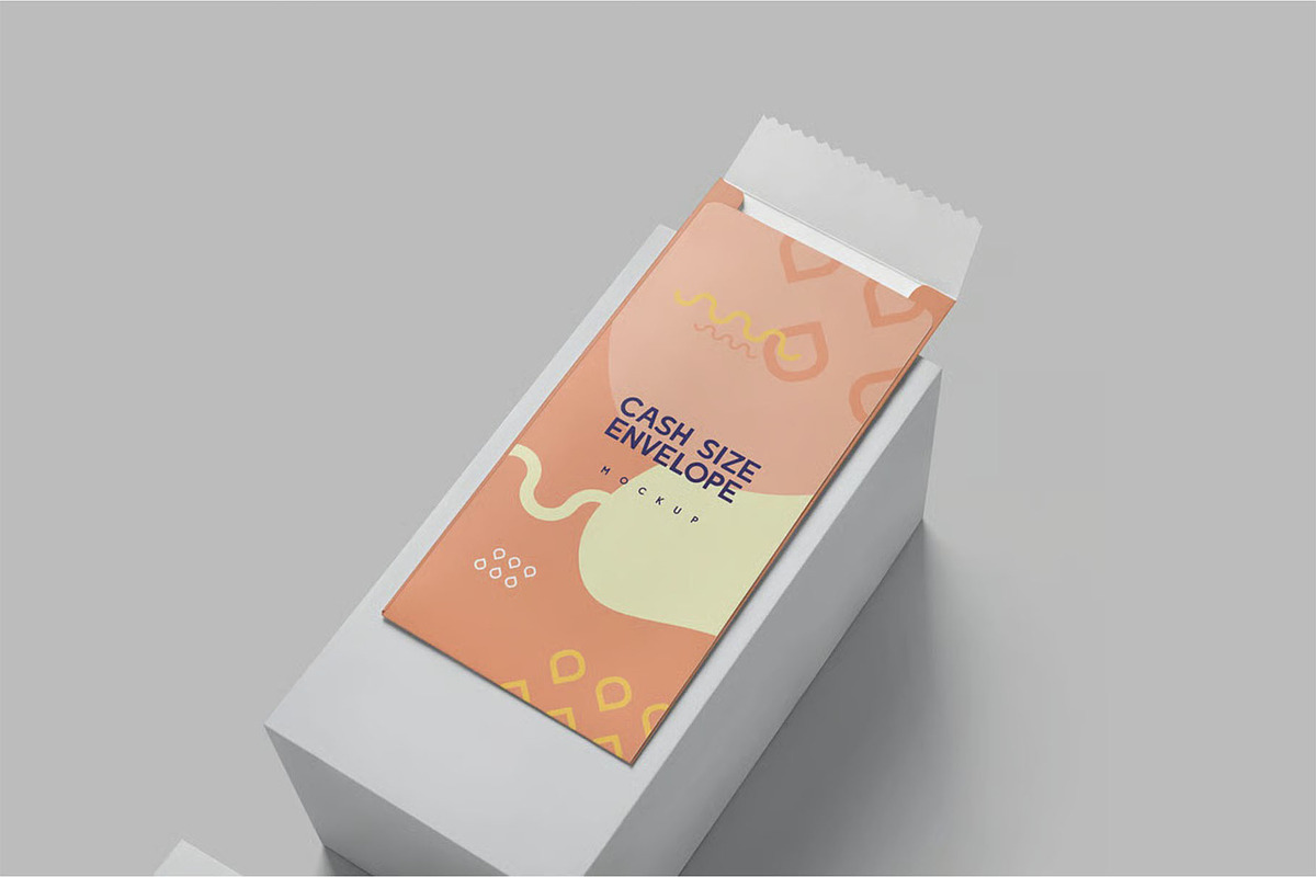 Cash Size Catalog Envelope Mockups, an Advertising Mockup by megostudi0 (Photo 6 of 7)