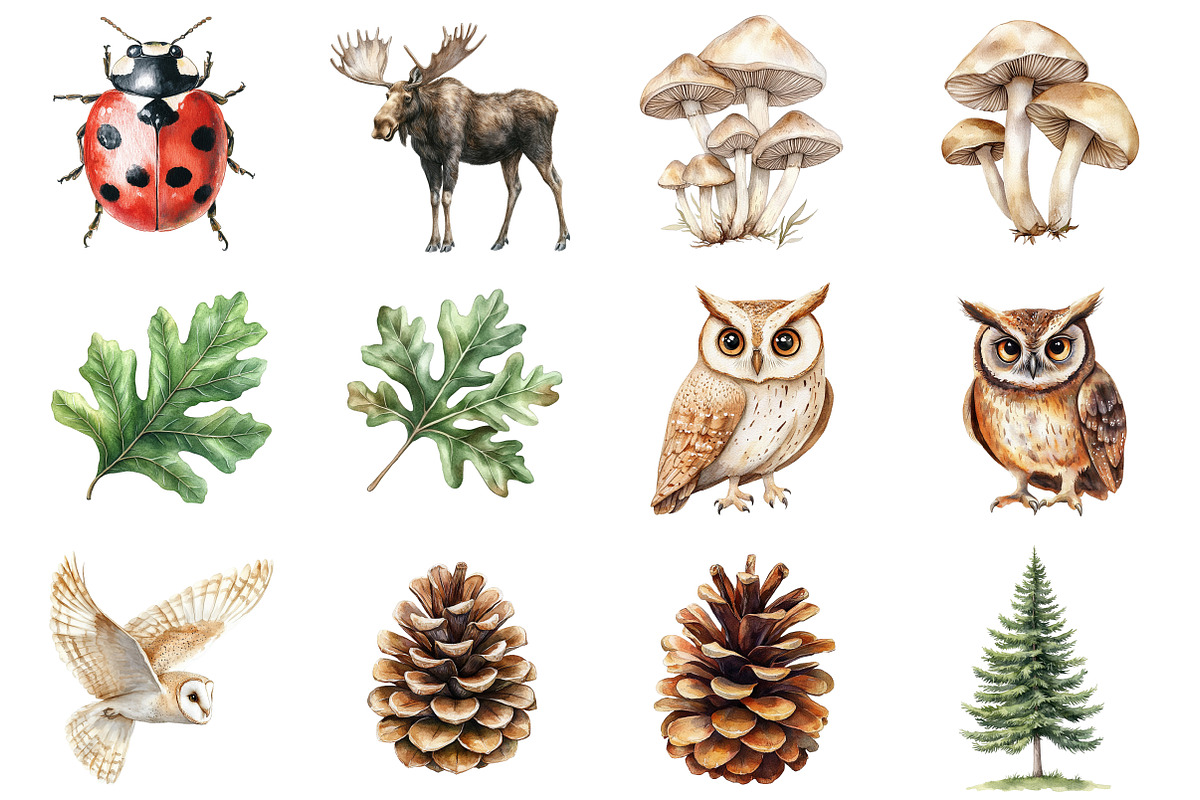 Watercolor Woodland Story Clipart, a Seasonal Illustration by CitraGraphics (Photo 5 of 7)