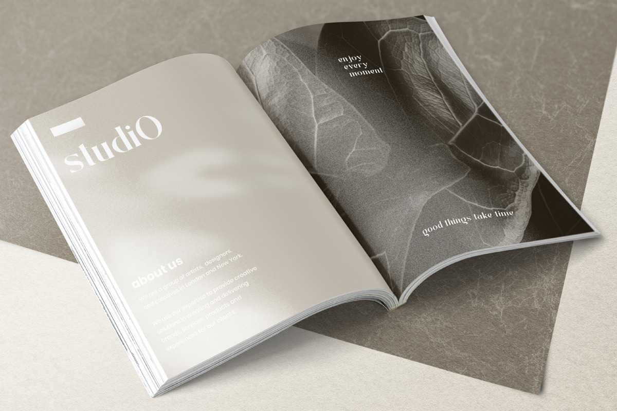 Badger Glance - Modern Serif Font, a Serif Font by Heinzel Std (Photo 8 of 14)