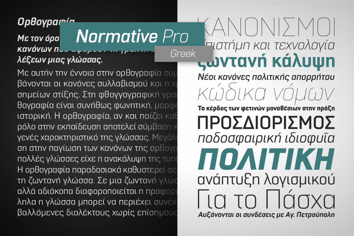 Normative Pro - 4 fonts preview 6