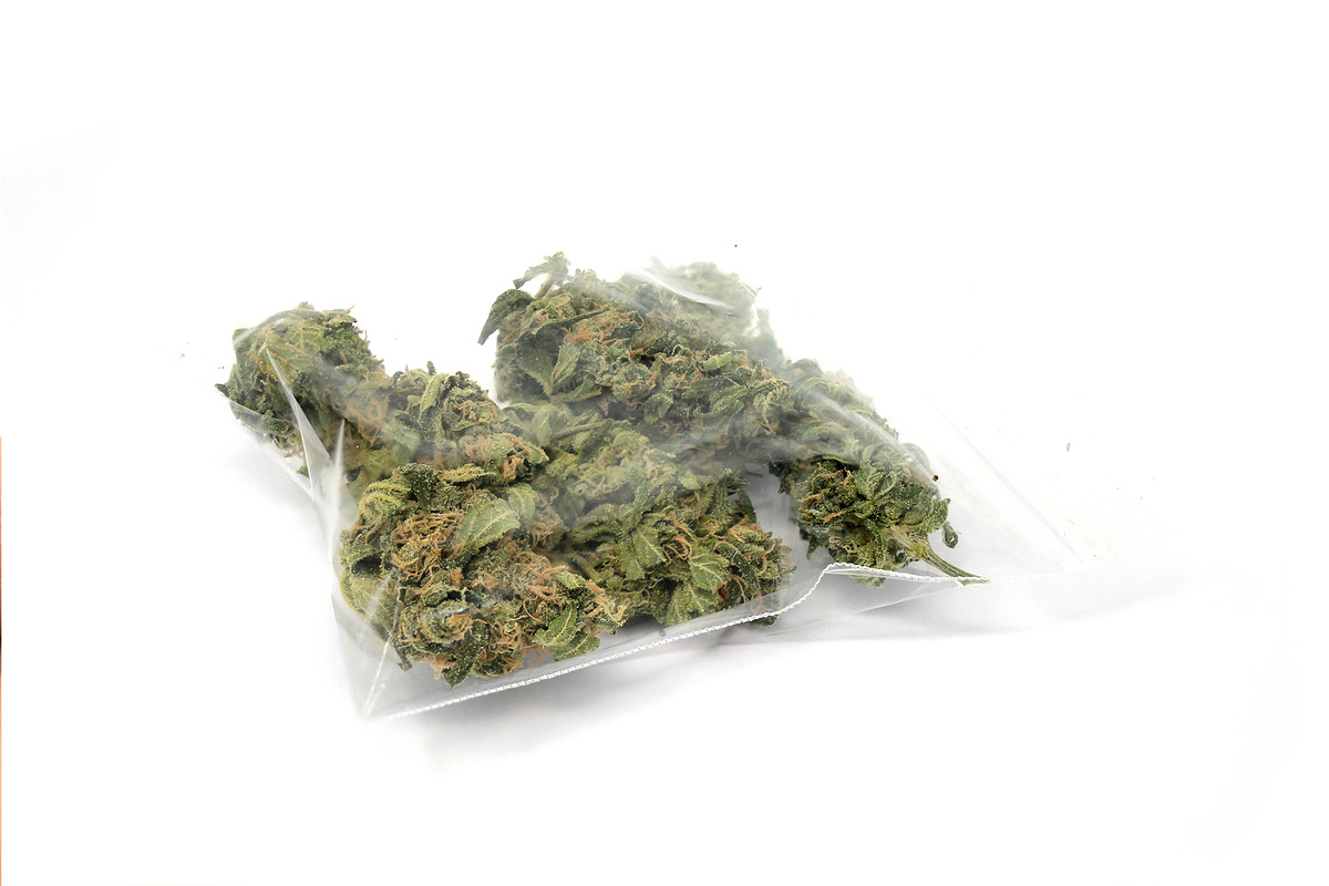 Cannabis marijuana weed photo pack, a Nature Photo by Kohl + Cole (Photo 6 of 6)