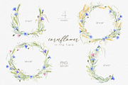 Knapweed and wildflowers collection, an Illustration by ReachDreams (Thumbnail 6 of 12)