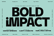 ModeSans Modern Sans Serif Typeface, a Sans Serif Font by VP Fonts (Thumbnail 4 of 39)