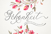 Schönheit font & watercolors., a Script Font by Red Ink (Thumbnail 1 of 10)