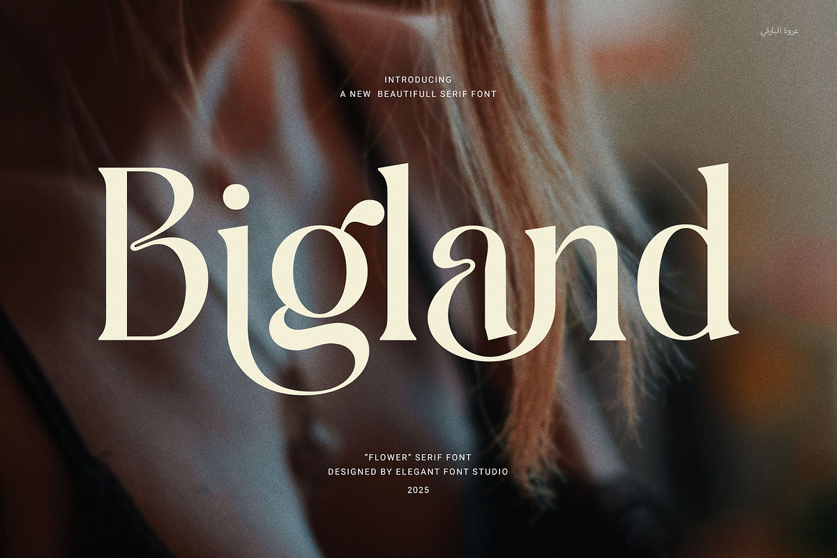 Bigland Elegant Serif Font, a Serif Font by Elegant Font (Photo 1 of 8)