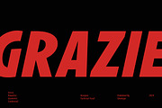 Avanti, a Sans Serif Font by Glowtype (Thumbnail 12 of 12)