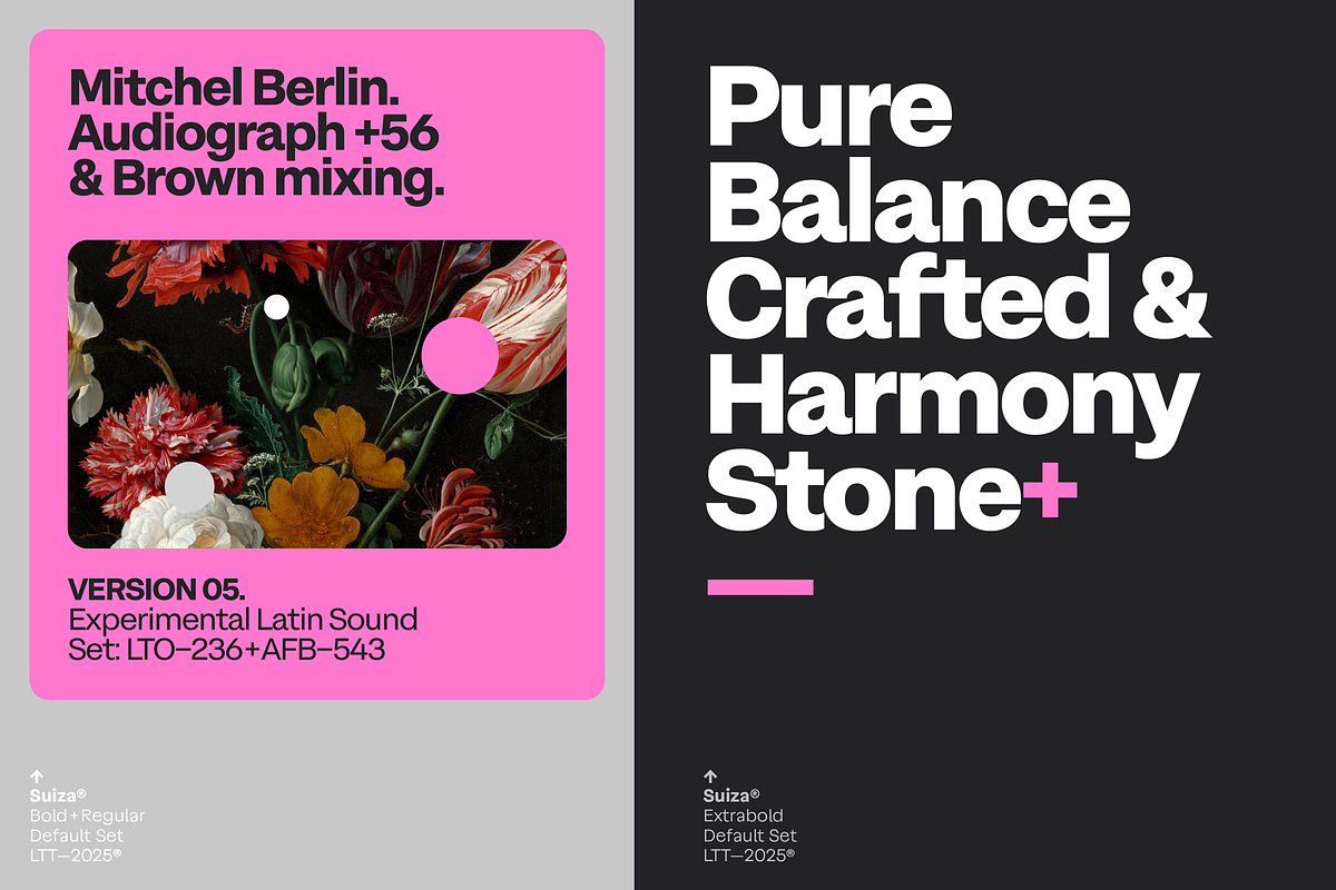 Suiza, a Sans Serif Font by Latinotype (Photo 15 of 16)