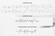 Pattersonville Script Font, a Script Font by Creativeqube Design (Thumbnail 25 of 26)