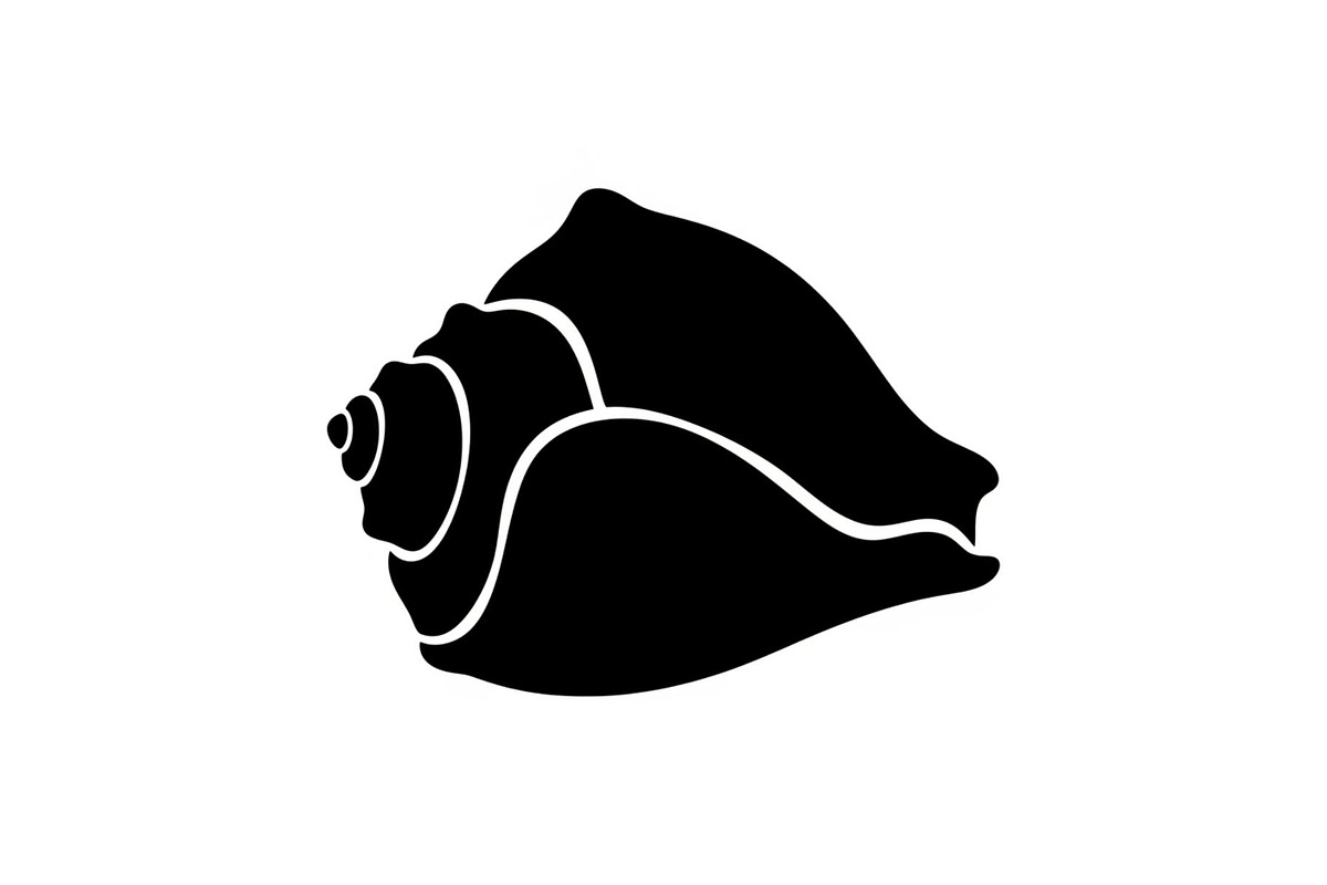 Shell Silhouette Vector Bundle, an Illustration by hafijul (Photo 9 of 48)