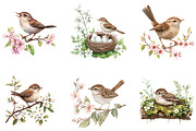 Birds and dunnock Clipart, a Seasonal Illustration by Designking (Thumbnail 5 of 5)