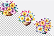Watercolor Plumeria Clipart Bundle., an Illustration by SVGArt (Thumbnail 2 of 9)