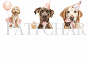 40 Birthday Dog Clipart PNGs, an Animal Illustration by Pati Charm Studio (Thumbnail 3 of 9)