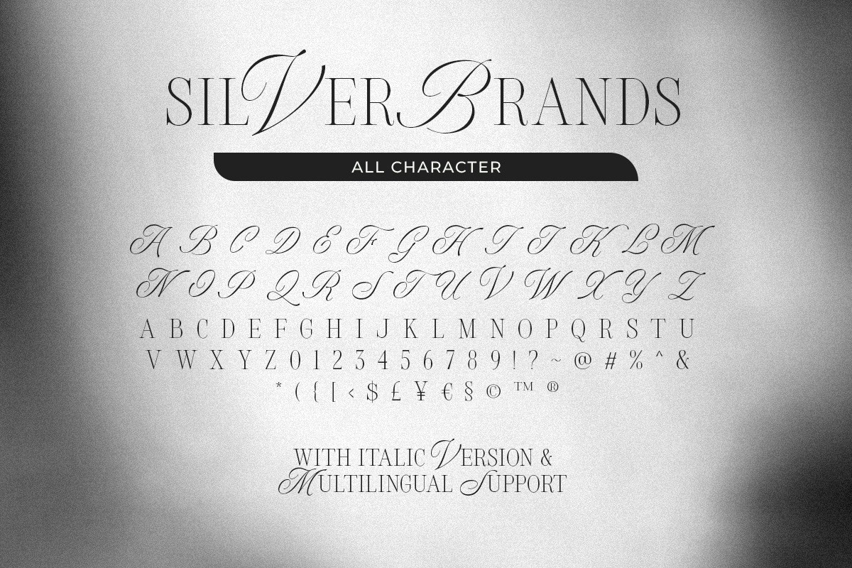 Silver Brands - Elegant Mixed Serif, a Serif Font by Bale Type (Photo 9 of 9)