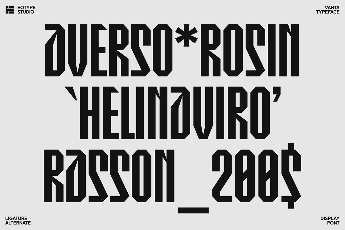 Vanta Typeface, a Sans Serif Font by Eotype Studio (Photo 5 of 10)