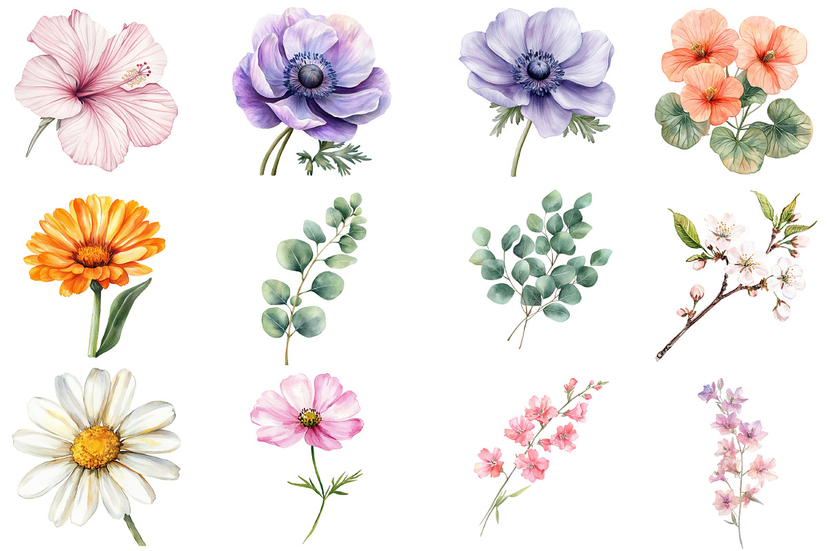 Wildflower Watercolor Flower Clipart, an Illustration by DreamCafeArt (Photo 4 of 8)