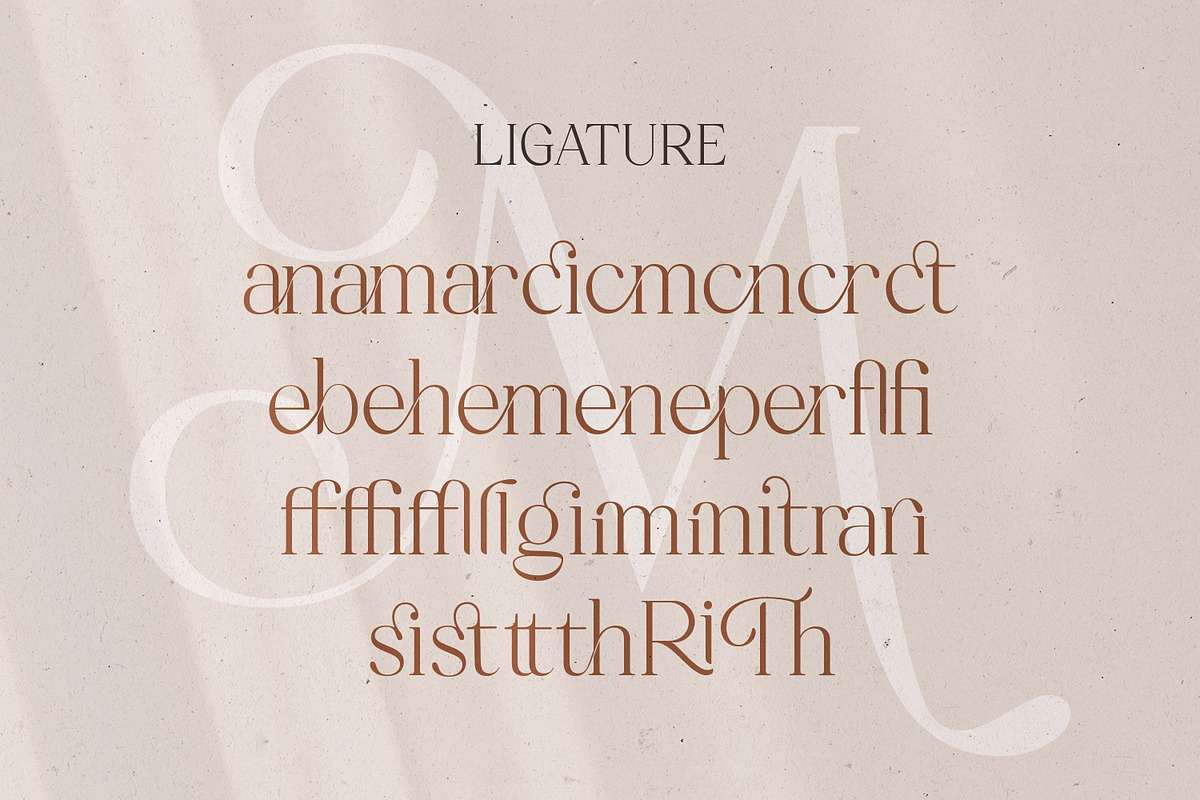 Mitchaella Luxury Unique Serif, a Serif Font by Typetemp Studio (Photo 18 of 19)