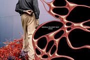 Neuro - Neurographic Textures & PNGs, a Texture Graphic by saintricchi (Thumbnail 3 of 7)