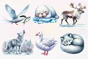 Watercolor Arctic Animals Clipart, an Illustration by Dream Creation (Thumbnail 5 of 8)