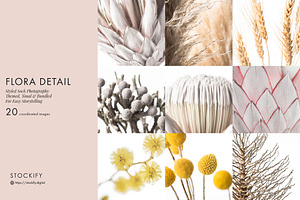 Flora Detail - Macro Photo Bundle