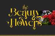 Devroon Royale, a Serif Font by zaaintype (Thumbnail 6 of 11)