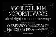 Windraw Aesthetic - Pixel Serif, a Serif Font by Arterfak Project (Thumbnail 12 of 12)