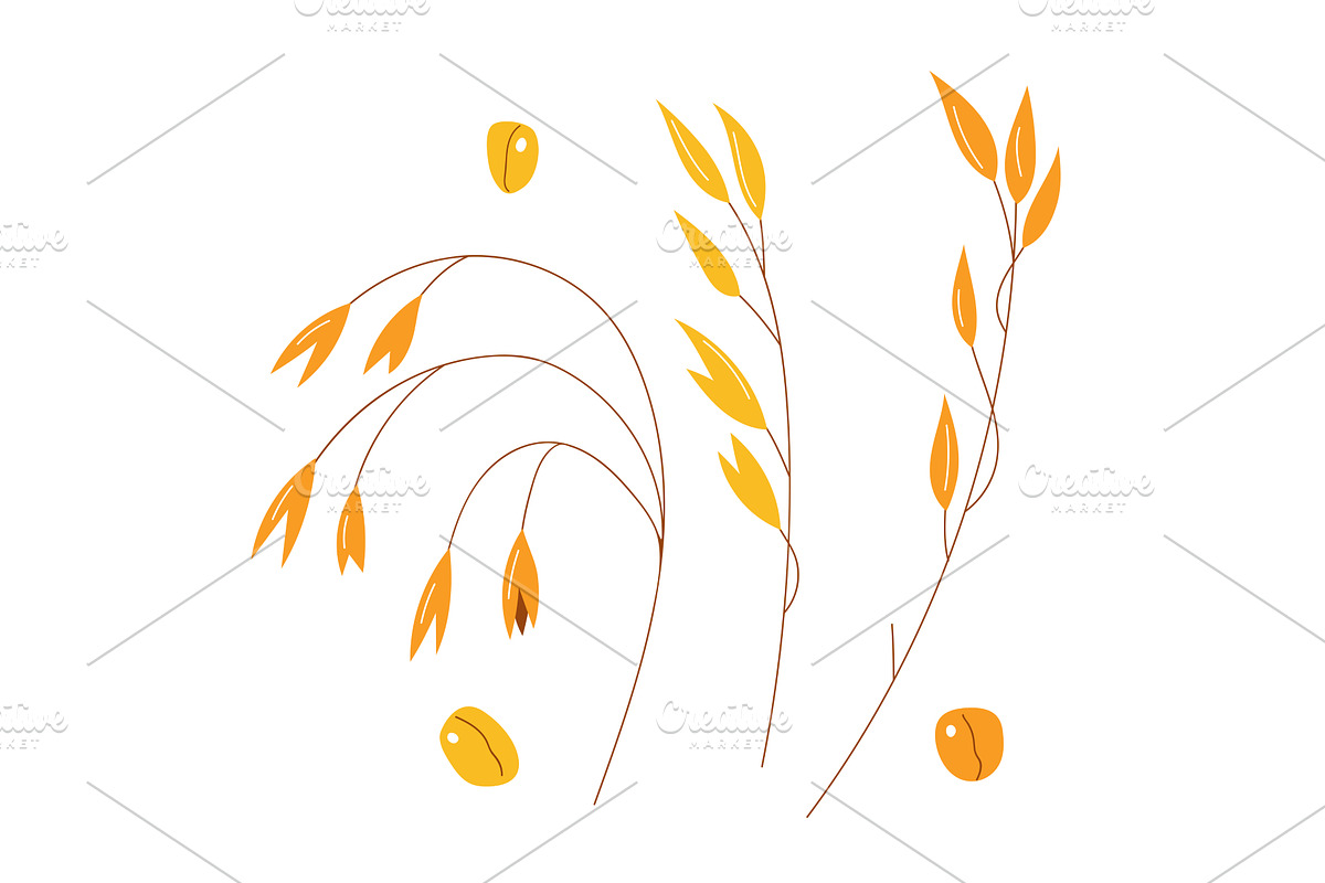 Hand drawn set of oats, oatmeal, oat, a Food Illustration by Riots Brush