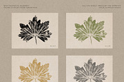 Hand-Pressed Botanical Imprints, an Object Graphic by alonahaidash (Thumbnail 10 of 13)