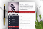 JOB WINNING RESUME - 50 TEMPLATES, a Resume Template by ResumeInventor (Thumbnail 158 of 184)