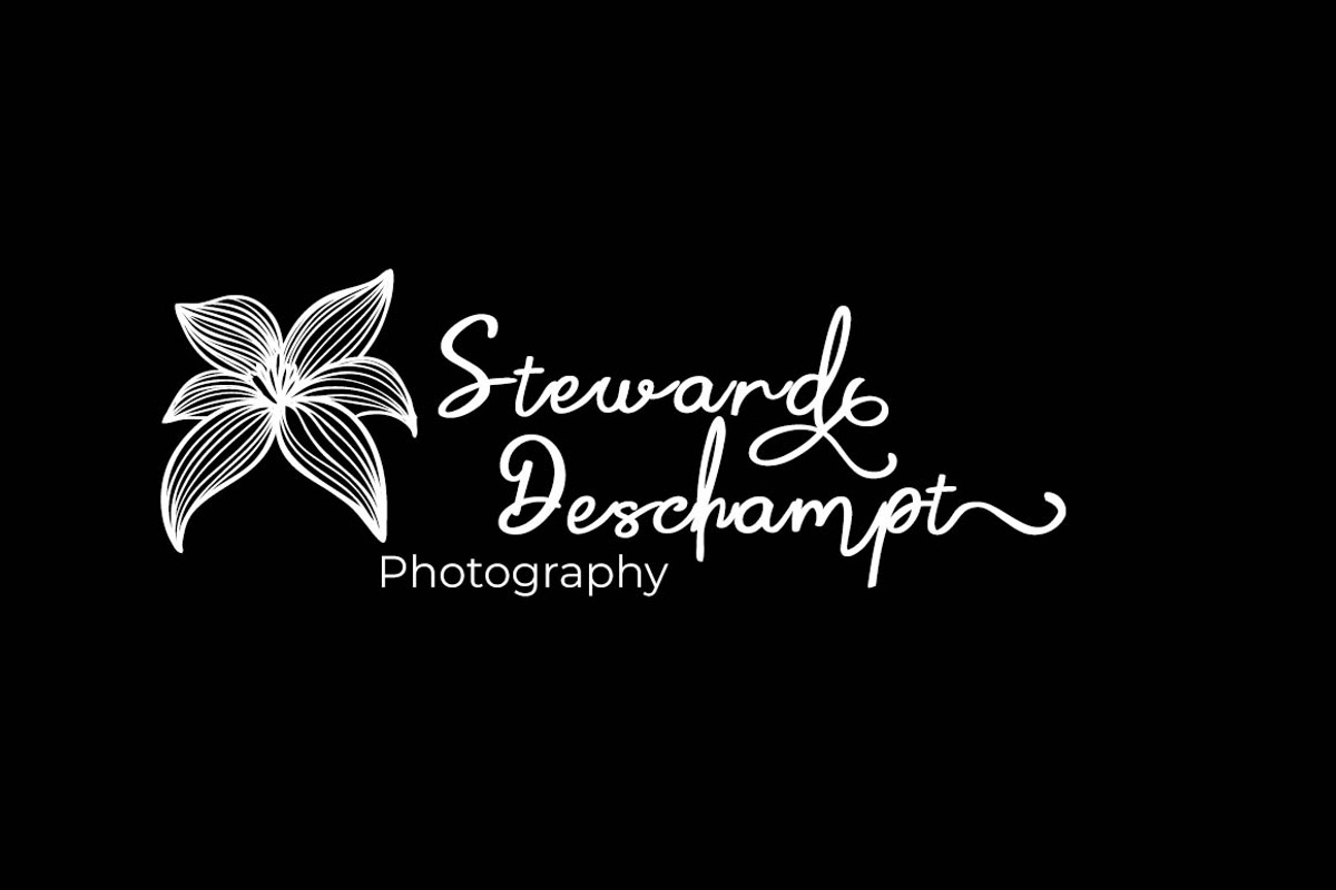 Wender Bremen, a Script Font by Zaenal Studio (Photo 13 of 14)