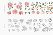 Bouquets roses & hydrangea, an Illustration by Kotkoa (Thumbnail 2 of 8)