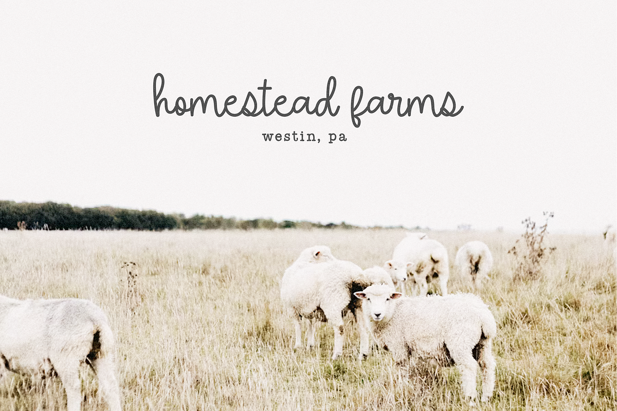 Lemon Sunrise | Script Font, a Script Font by KA Designs (Photo 10 of 12)