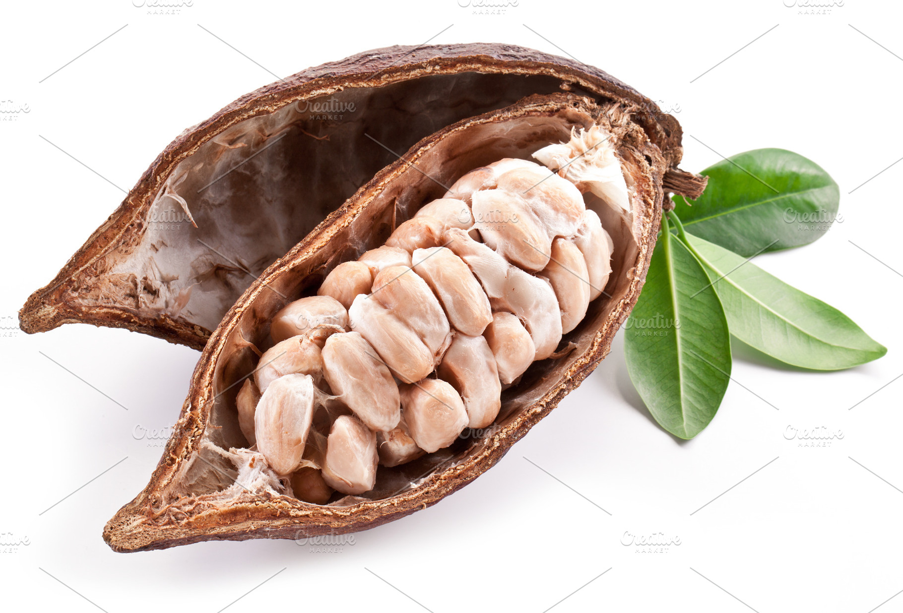 Young Cocoa pod isolated on a white, a Food & Drink Photo by Volff