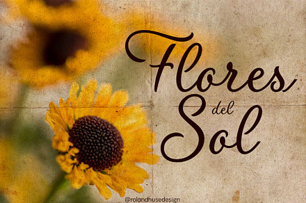 Flores del Sol calligraphic font