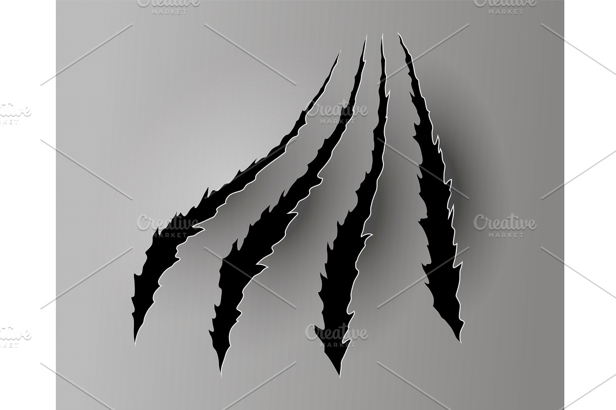 Bear or tiger claw mark, an Animal Illustration by Things for designers