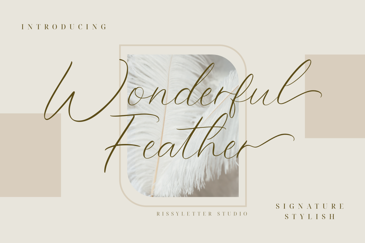 Wonderful Feather | Handwritten Font, a Script Font by Rissyletter Studio (Photo 1 of 11)