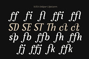 Serelia Serif Family | Intro 60% OFF, a Serif Font by Lettertype Studio (Thumbnail 14 of 17)