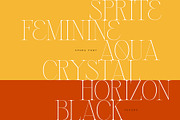 Spora Font Duo, a Serif Font by vuuuds (Thumbnail 13 of 14)