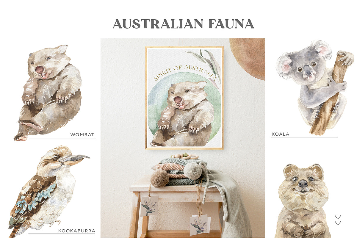 Australia Animals & Flora Watercolor, an Animal Illustration by Cat In Colour (Photo 3 of 13)