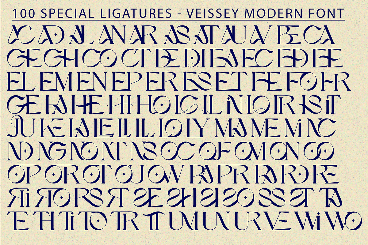VEISSEY MODERN FONT, a Serif Font by 177Studio (Photo 8 of 9)